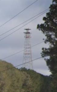 Picture provided by AJ Jackson 03/19/2023