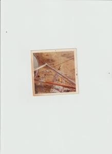 Picture provided by Warren Johnstone 03/10/2026