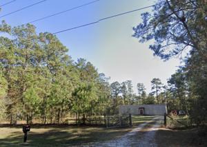 Neely, Mississippi