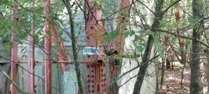 Picture provided by B7C 01/06/2025