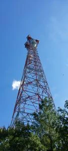 Picture provided by B7C 01/06/2025