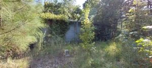 Picture provided by B7C 01/06/2025