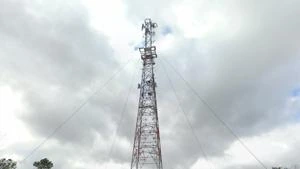 Picture provided by B7C 01/01/2025