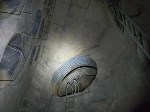 Picture provided by walrus 02/07/2024