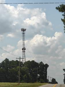 BLACKVILLE SC, South Carolina