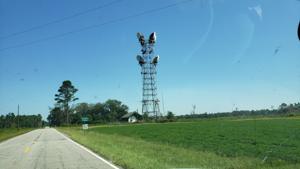 Picture provided by John Sickles 09/05/2023