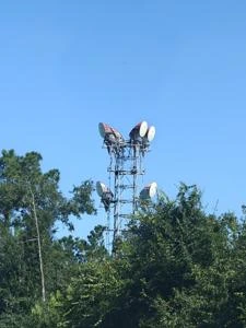EARHARDT SC, South Carolina