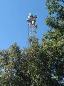 WALTERBORO SC1, South Carolina