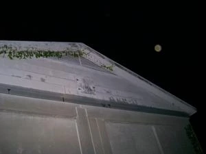 Picture provided by B7C 11/10/2022