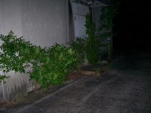 Picture provided by B7C 11/10/2022