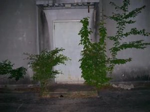 Picture provided by B7C 11/10/2022