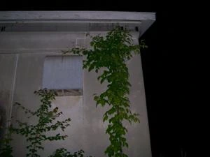 Picture provided by B7C 11/10/2022