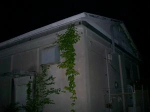 Picture provided by B7C 11/10/2022
