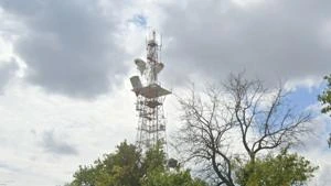 Picture provided by B7C 07/11/2024