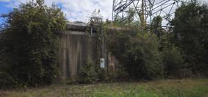 Picture provided by C. Beam 10/05/2025