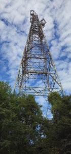 Picture provided by C. Beam 10/05/2025
