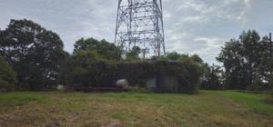 Picture provided by C. Beam 10/05/2025