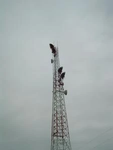 Picture provided by B7C 10/19/2022