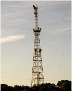 Picture provided by B7C 03/06/2023