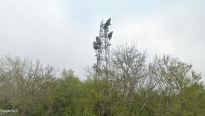 Picture provided by B7C 12/25/2024