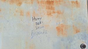 Picture provided by JSparks93 11/30/2025