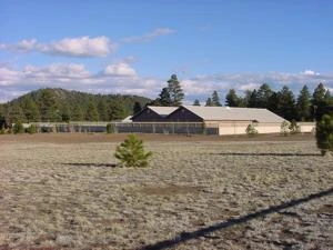 Picture provided by Photos courtesy of ALBERT LAFRANCE 12/24/2021