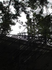 Picture provided by Luke LaRock 04/25/2025