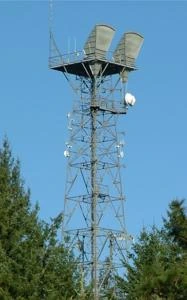 Picture provided by AJ Jackson 11/09/2024