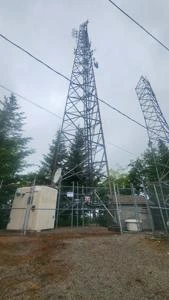 Picture provided by Nugel 07/01/2024