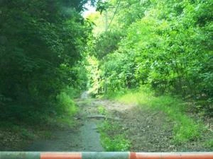 Picture provided by B7C 03/03/2025