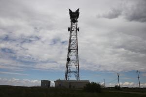 Picture provided by Travis Koch-Gensiorek 05/28/2024