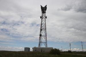 Picture provided by Travis Koch-Gensiorek 05/28/2024