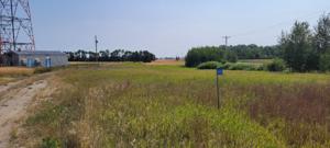 Picture provided by Jim Sutton 08/20/2024