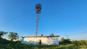 Picture provided by B7C 07/05/2024