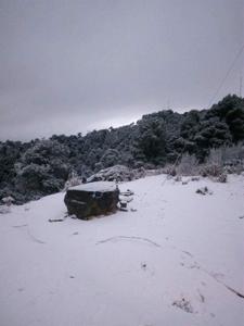 Picture provided by B7C 06/09/2024