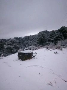 Picture provided by B7C 06/09/2024