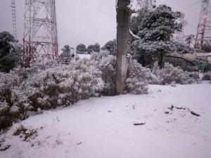 Picture provided by B7C 06/09/2024