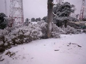 Picture provided by B7C 06/09/2024
