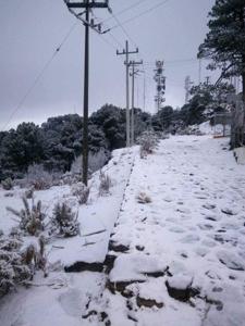 Picture provided by B7C 06/09/2024