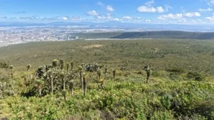 Queretaro, Mexico