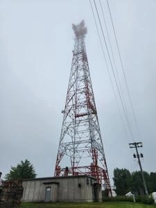Picture provided by Luke LaRock 06/29/2024