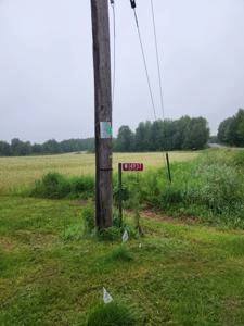 Picture provided by Luke LaRock 06/29/2024