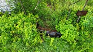 Picture provided by Luke LaRock 06/29/2024