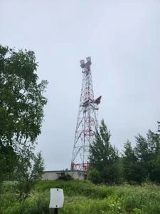 Picture provided by Luke LaRock 06/29/2024