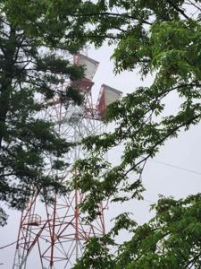Picture provided by Luke LaRock 06/29/2024