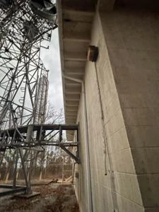 Picture provided by Matthew 12/30/2024