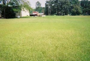 Picture provided by B7C 11/29/2022