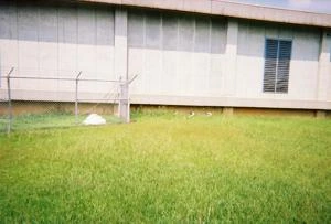 Picture provided by B7C 11/29/2022