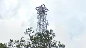 Picture provided by B7C 05/05/2023