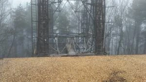 Picture provided by Matthew 12/30/2024